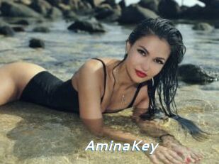 AminaKey