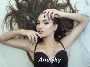 AneSky