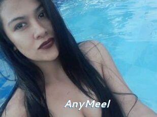 AnyMeel