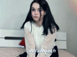 AriaRoach