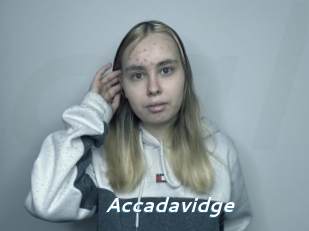 Accadavidge