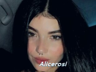 Alicerosi