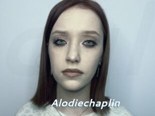 Alodiechaplin