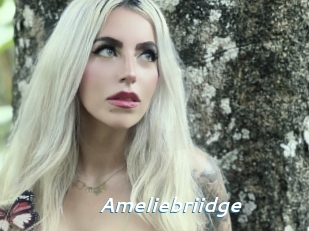 Ameliebriidge