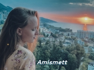 Amismett