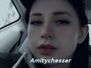 Amitychesser