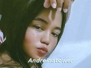 Andreinatower