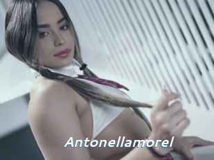 Antonellamorel