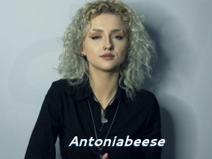 Antoniabeese