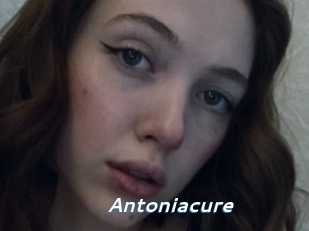 Antoniacure