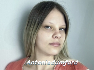 Antoniadumford