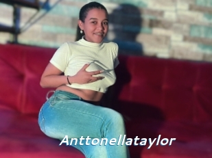 Anttonellataylor