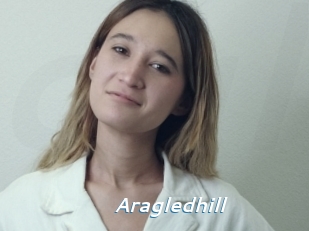 Aragledhill