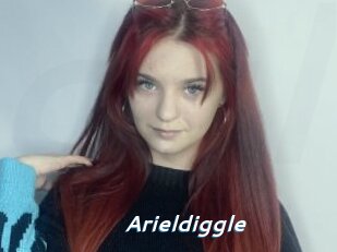 Arieldiggle