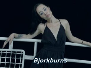 Bjorkburns