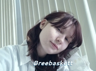 Breebaskett