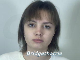 Bridgetharrie