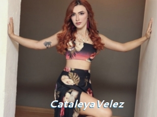 CataleyaVelez