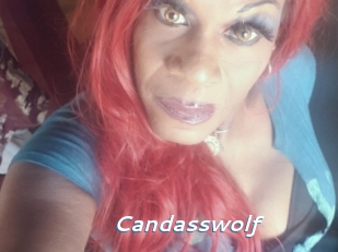 Candasswolf