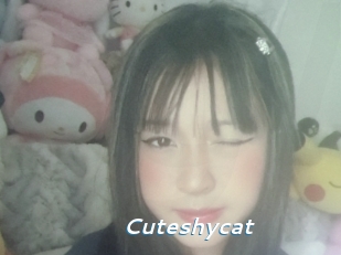 Cuteshycat