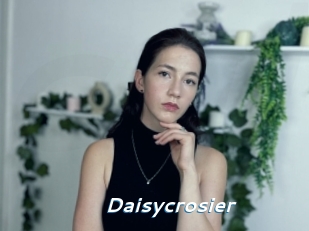 Daisycrosier