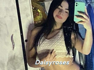 Daisyroses