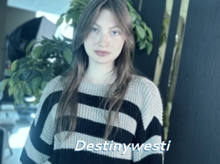 Destinywesti