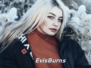 EvisBurns