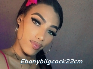 Ebonybiigcock22cm