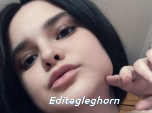 Editagleghorn