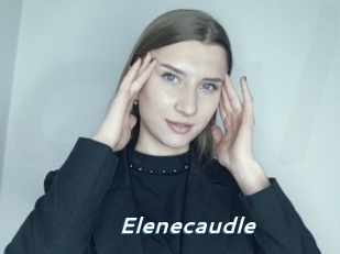 Elenecaudle