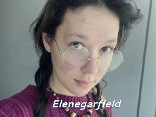 Elenegarfield