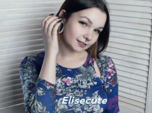 Elisecute