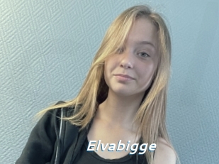 Elvabigge