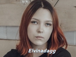 Elvinadagg