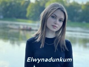 Elwynadunkum