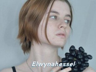 Elwynahessel