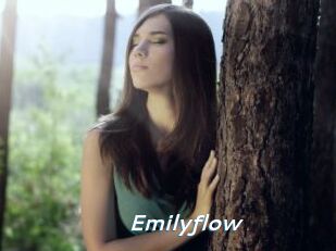 Emilyflow