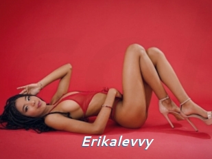 Erikalevvy