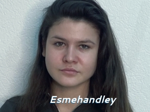 Esmehandley