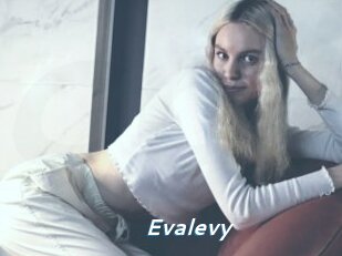 Evalevy