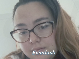 Eviedash
