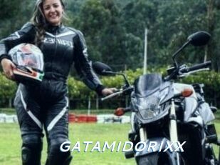 GATAMIDORIXX