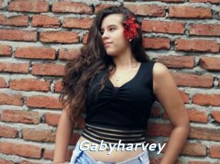 Gabyharvey