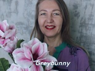 Greybunny