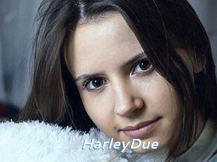 Harley_Due