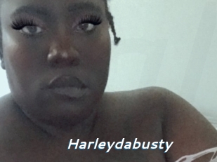 Harleydabusty