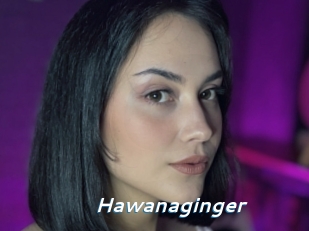 Hawanaginger