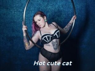 Hot_cute_cat