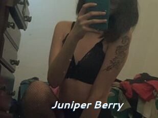 Juniper_Berry